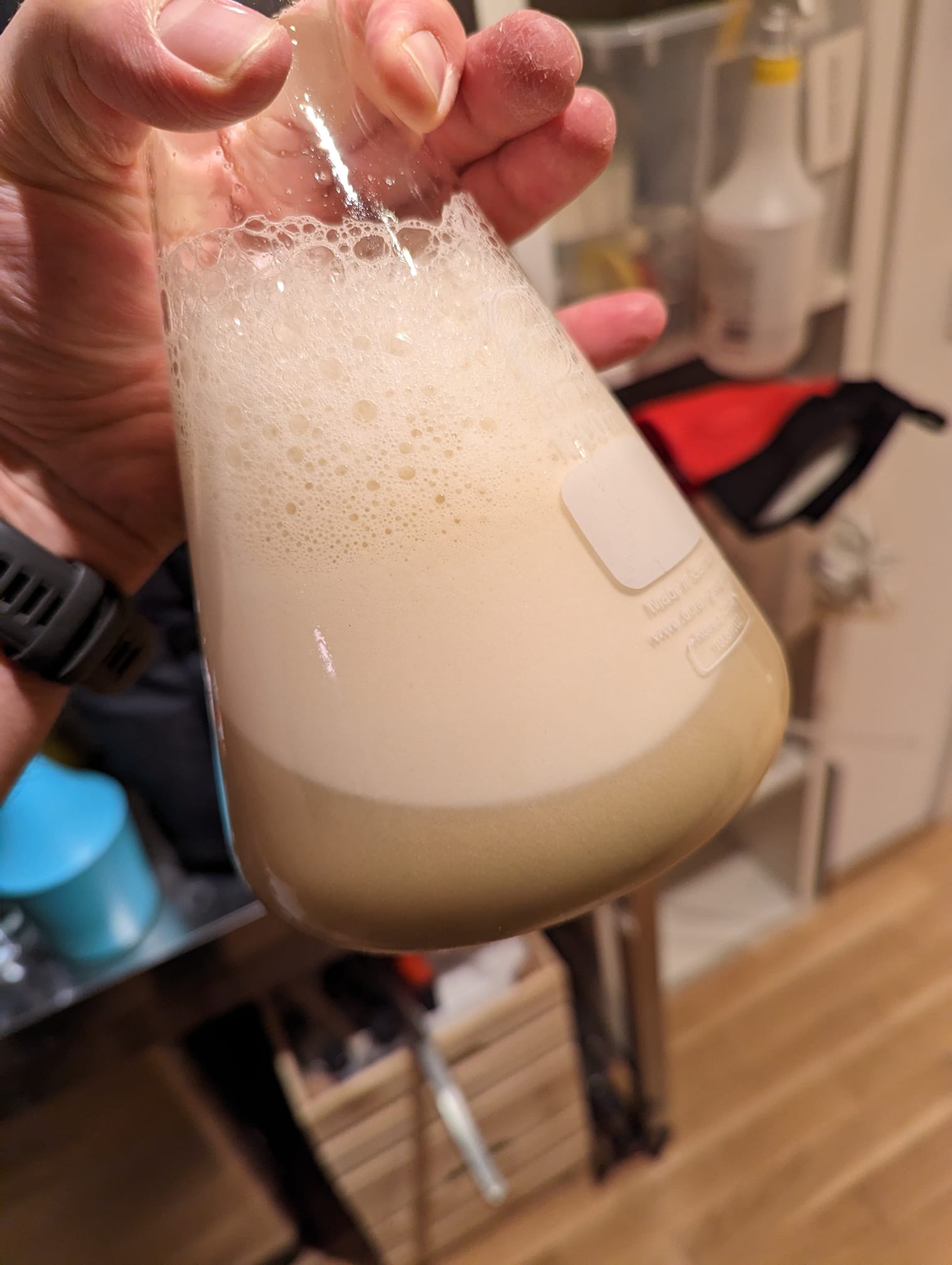 Harvested yeast